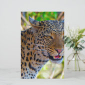 Spotlood Leopard Briefpapier (Staand voorkant)