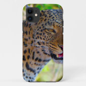 Spotlood Leopard Case-Mate iPhone Case (Achterkant)