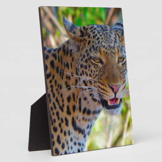 Spotlood Leopard Fotoplaat (Zijkant)