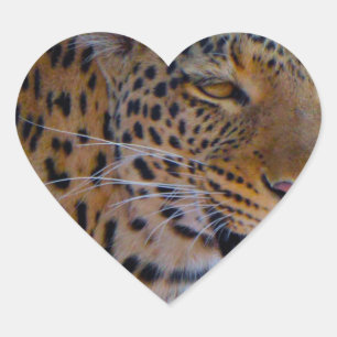 Spotlood Leopard Hart Sticker