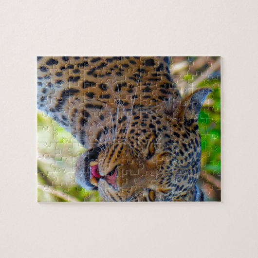 Spotlood Leopard Legpuzzel (Horizontaal)