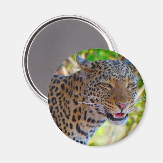 Spotlood Leopard Magneet (Voorkant / Achterkant)