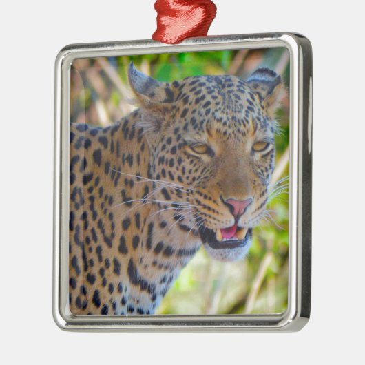 Spotlood Leopard Metalen Ornament (Links)