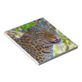 Spotlood Leopard Notitieblok (Schuin)
