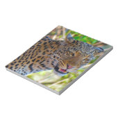 Spotlood Leopard Notitieblok (Linkerzijde)