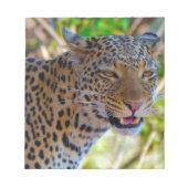 Spotlood Leopard Notitieblok (Voorkant)