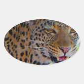 Spotlood Leopard Ovale Sticker (Voorkant)