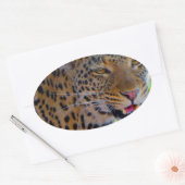 Spotlood Leopard Ovale Sticker (Envelop)