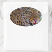 Spotlood Leopard Ovale Sticker (Tas)