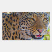 Spotlood Leopard Rechthoekige Sticker (Voorkant)