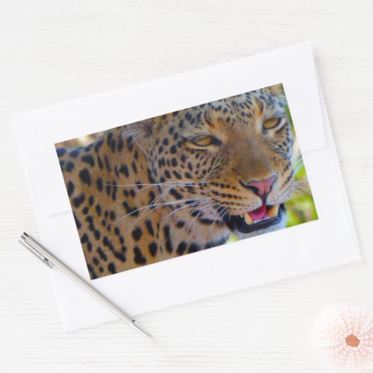 Spotlood Leopard Rechthoekige Sticker (Envelop)