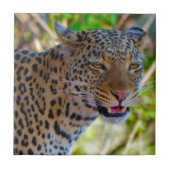 Spotlood Leopard Tegeltje (Voorkant)