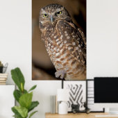 Spotoraal Poster (Thuiskantoor)