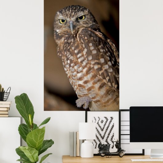 Spotoraal Poster (Thuiskantoor)