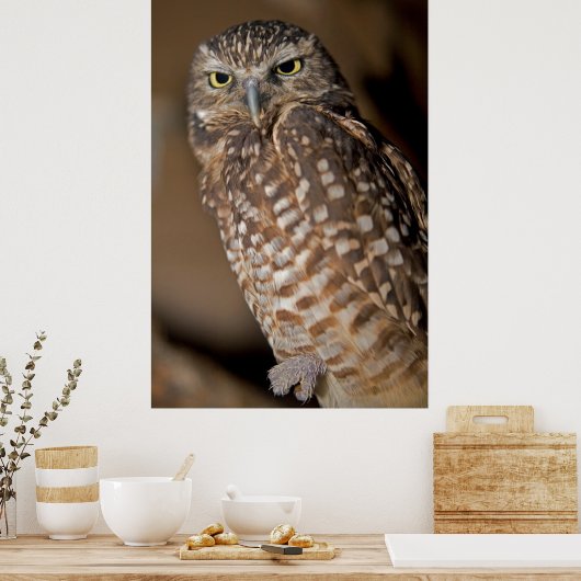 Spotoraal Poster (Keuken)