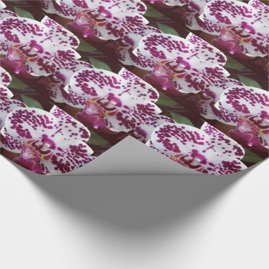 Spotorchidee Gift Wrap Cadeaupapier (Hoek)