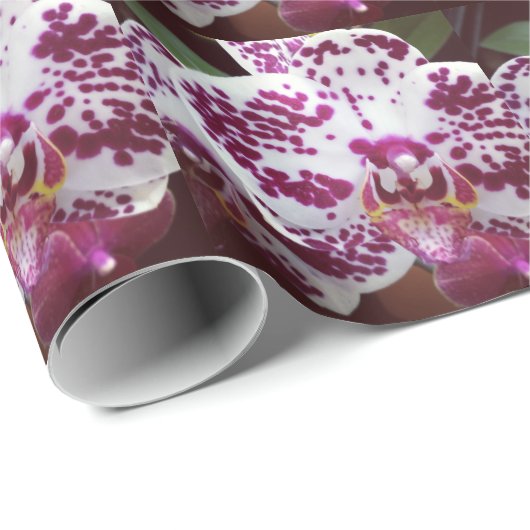 Spotorchidee Gift Wrap Cadeaupapier (Rol Hoek)