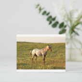 Spotpaardenstaartje Briefkaart (Staand voorkant)