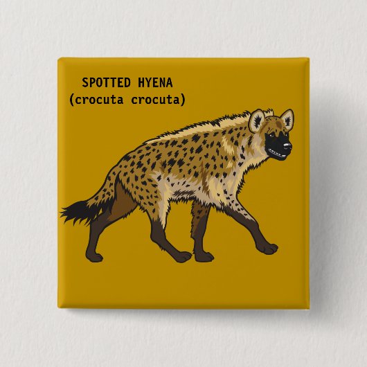 spotprent hyena vierkante button 5,1 cm (Voorkant)