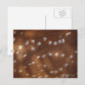 Spots op een dier briefkaart (Voorkant / Achterkant)