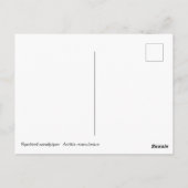 Spotsandpiper Briefkaart (Achterkant)