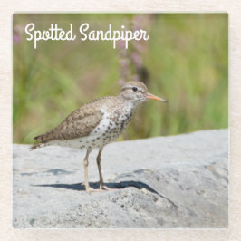 Spotsandpiper Glazen Onderzetter