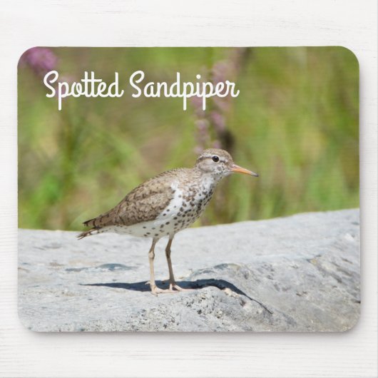 Spotsandpiper Muismat (Voorkant)