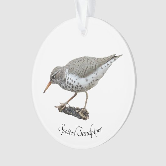 Spotsandpiper Ornament (voorkant)