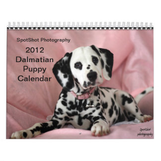 SpotShot Photography's kalender voor 2012