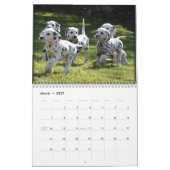SpotShot Photography's kalender voor 2012 (Mar 2027)