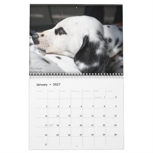 SpotShot Photography's kalender voor 2012 (Jan 2027)