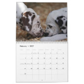 SpotShot Photography's kalender voor 2012 (Feb 2027)