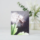 Spotspin Briefkaart (Staand voorkant)