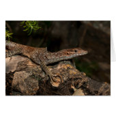 Spotstructuurmonitor (Voorkant Horizontaal)