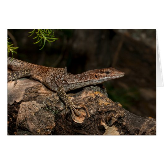 Spotstructuurmonitor (Voorkant Horizontaal)