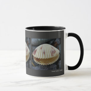 Spotte Cockle Clam op Unalaska Island Mok