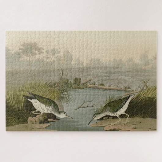 Spotte Sandpiper uit Audubon's Birds of America Legpuzzel (Horizontaal)