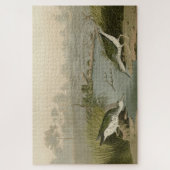 Spotte Sandpiper uit Audubon's Birds of America Legpuzzel (Verticaal)