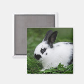 Spotted Bunny Magneet (Voorkant / Achterkant)