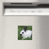 Spotted Bunny Magneet (Insitu (Vaatwasser))