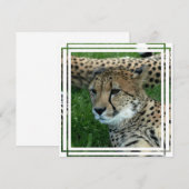 Spotted Cheetah Invitation Kaart (Voorkant / Achterkant)