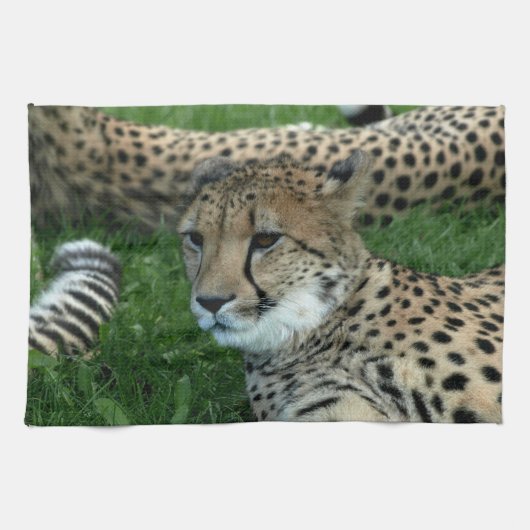 Spotted Cheetah Kitchen Towel Theedoek (Horizontaal)