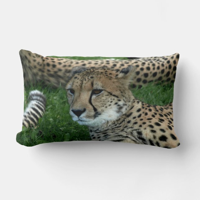 Spotted Cheetah Pillow Kussen (Voorkant)
