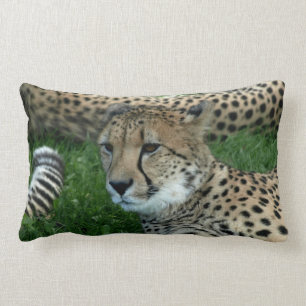 Spotted Cheetah Pillow Kussen