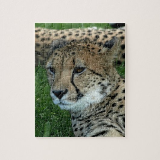 Spotted Cheetah Puzzle Legpuzzel (Verticaal)