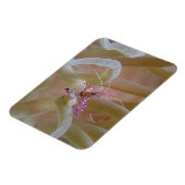 Spotted Cleaner Garnaal Magnet Magneet (Linkerzijde)