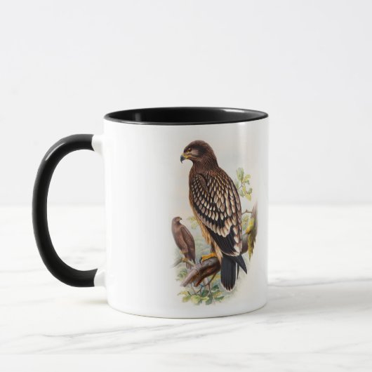 Spotted Eagle John Gould Birds of Great Britain Mok (Links)