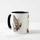 Spotted Eagle John Gould Birds of Great Britain Mok (Voorkant links)