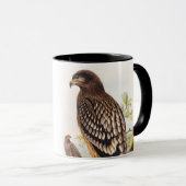 Spotted Eagle John Gould Birds of Great Britain Mok (Voorkant rechts)