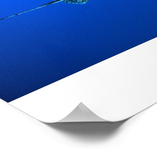 Spotted Eagle Ray, Belize 2006 Poster (Hoek)